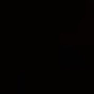 Meet your Posher, Ava